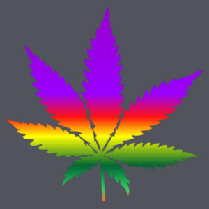 420 Rainbow Leaf - Circle Patch Beanie 2 Design